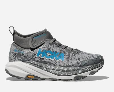 Schoenen - trail - dames - speedgoat mid 6 gtx
