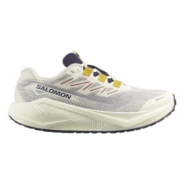SALOMON picture