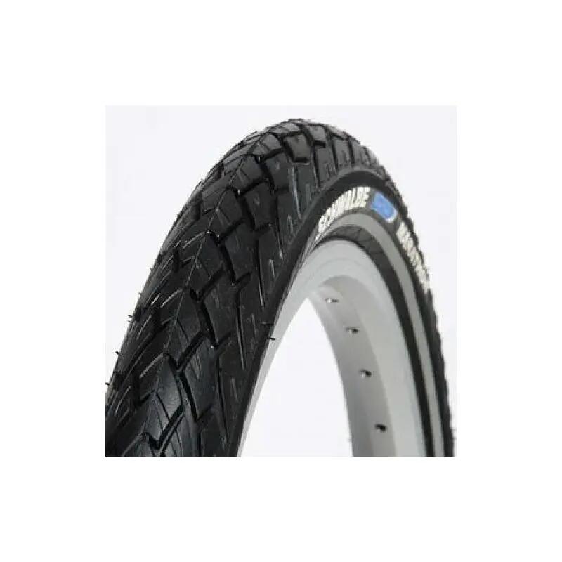 SCHWALBE picture