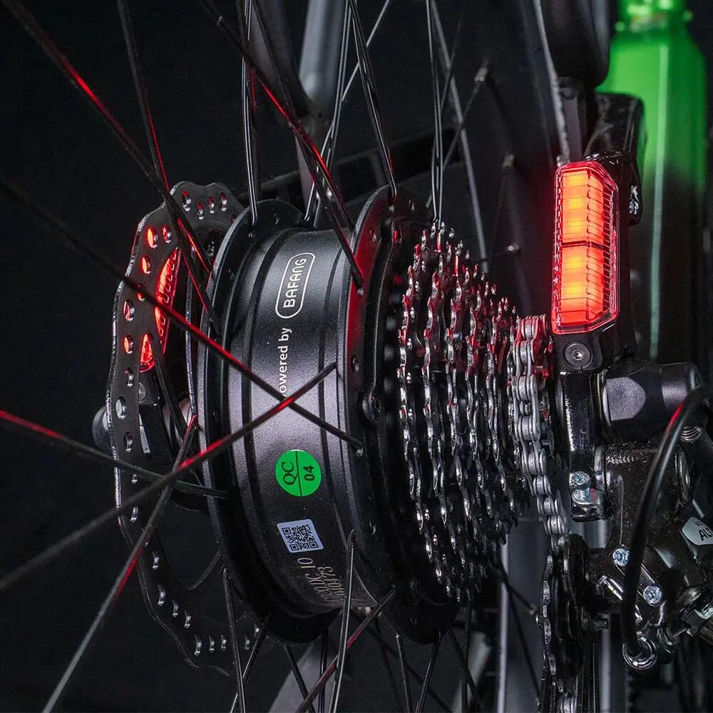 Bicicletta elettrica CYRUSHER Grace City 250W 48V 15Ah 3/7