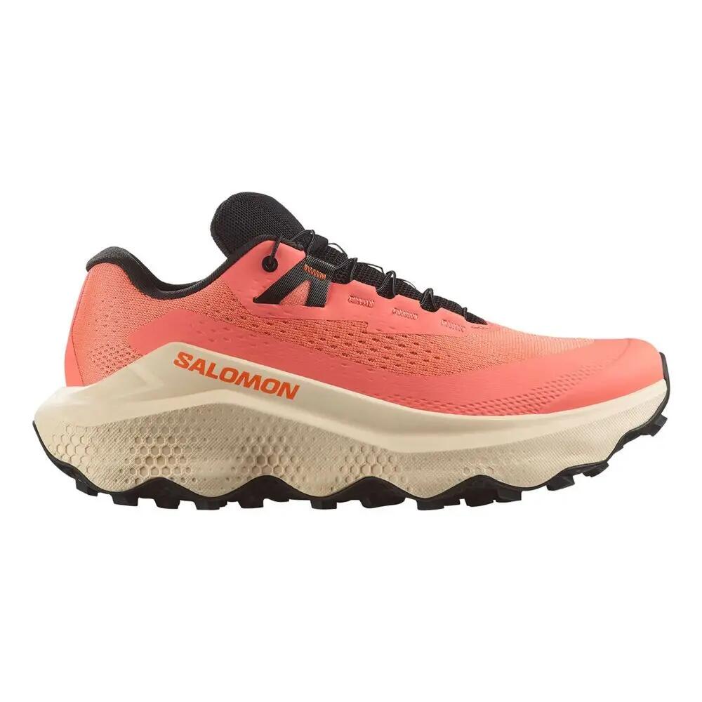 SALOMON picture