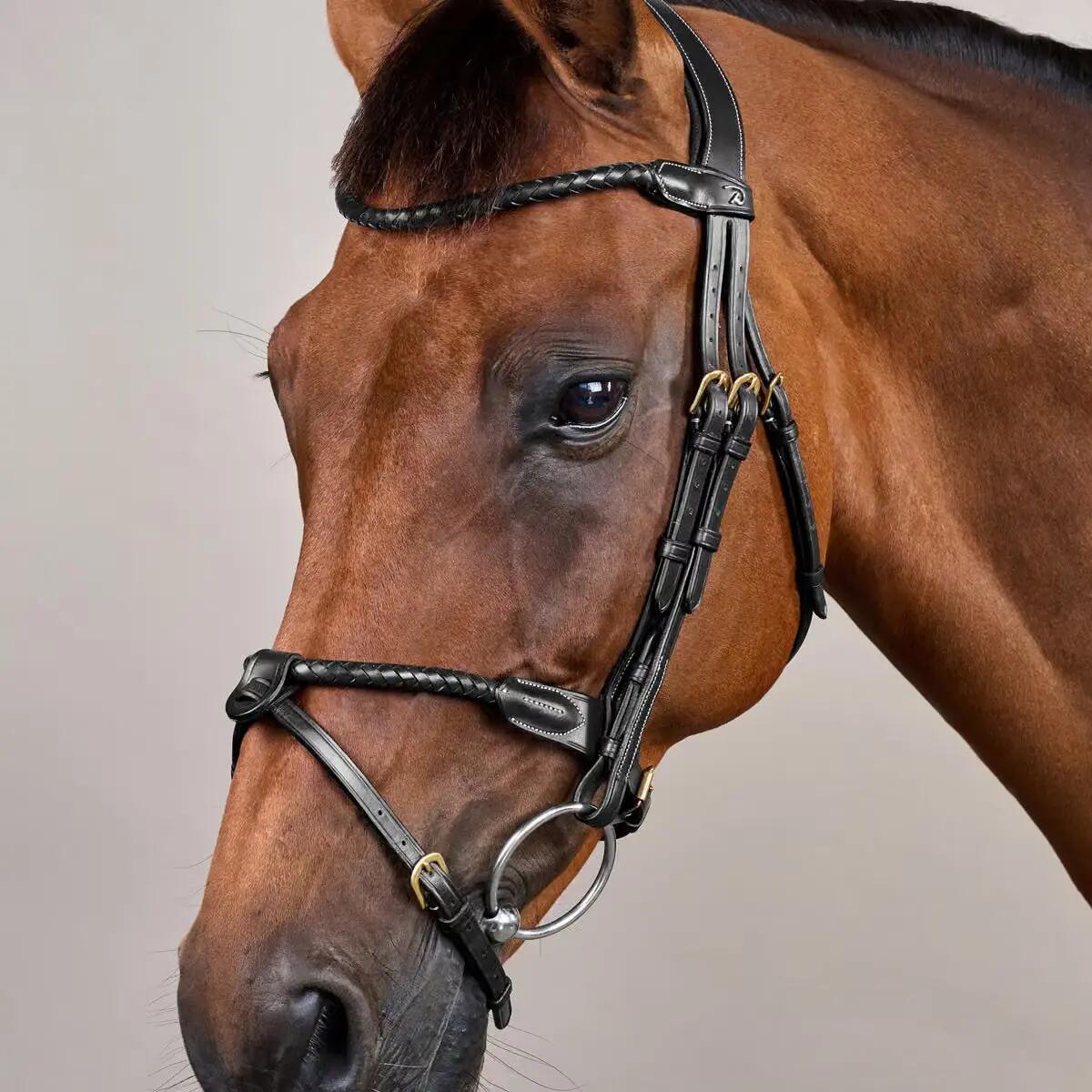 Dy'on Braided Noseband Hoofdstel With Removable Flash Bruin - 4/5