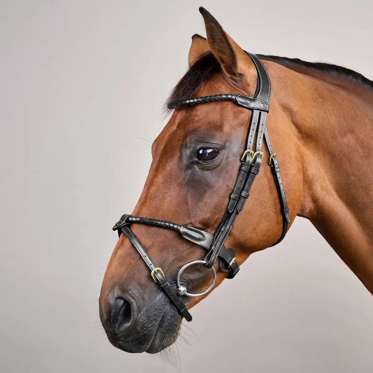 Dy'on Braided Noseband Hoofdstel With Removable Flash Bruin - 3/5
