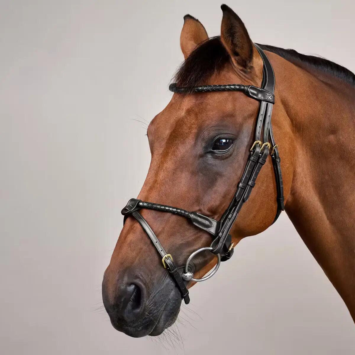 Dy'on Braided Noseband Hoofdstel With Removable Flash Bruin - 2/5