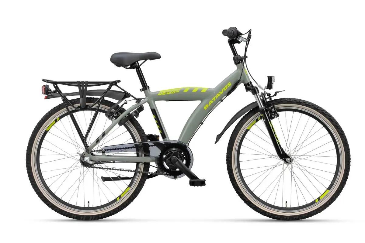 BATAVUS picture