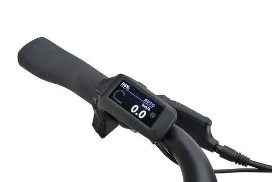 BATAVUS picture