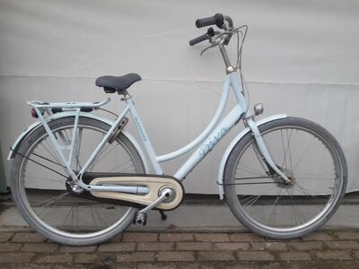Batavus diva