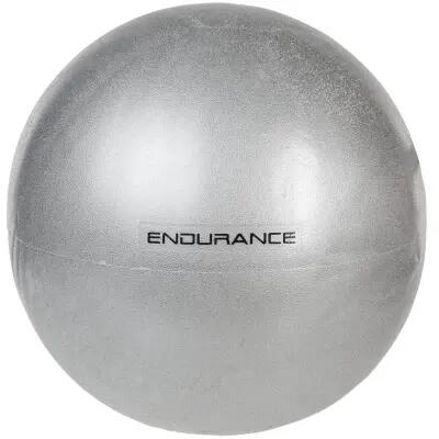 ENDURANCE picture