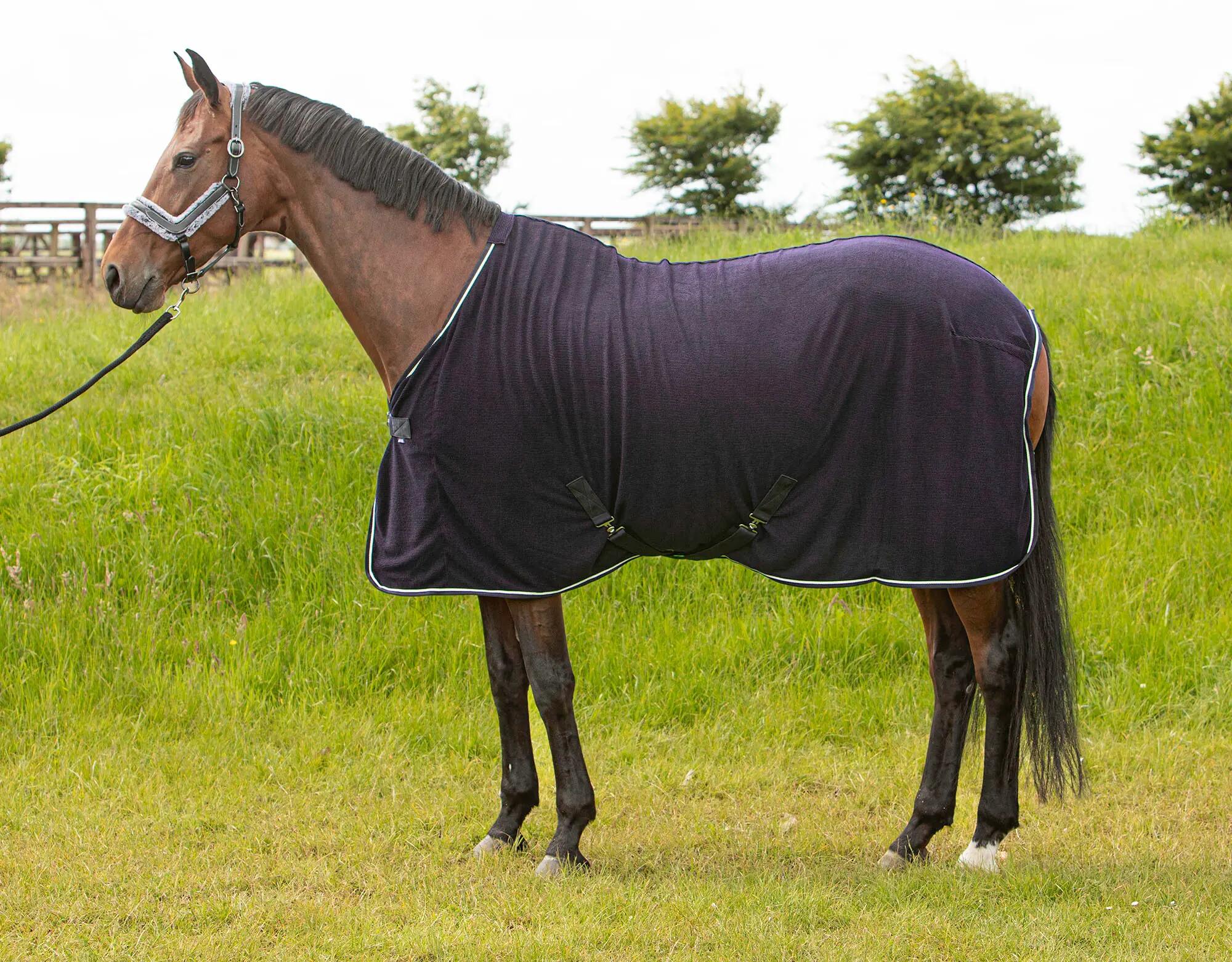 HARRYS HORSE picture
