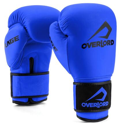 Gants de boxe pour hommes Overlord Rage