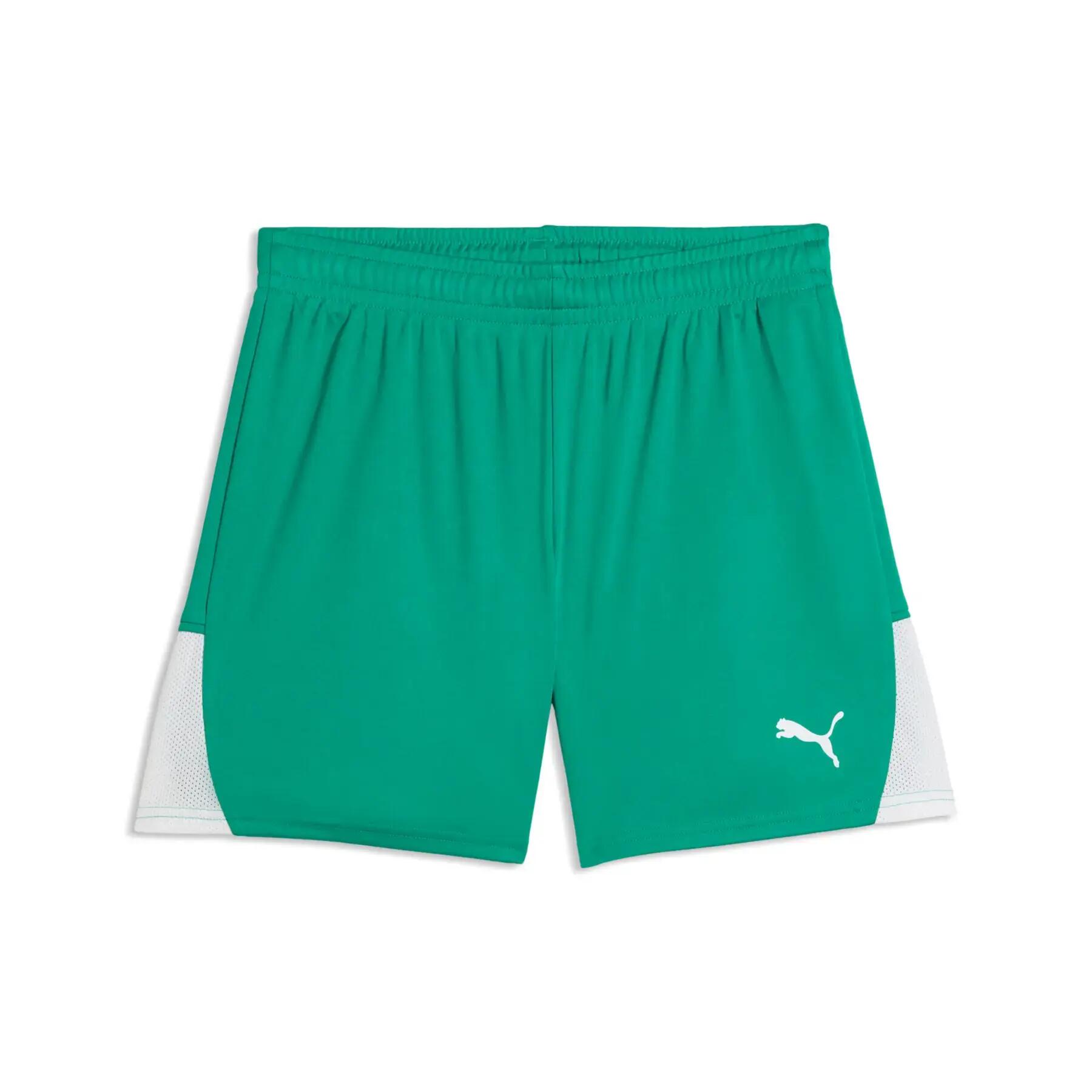 PUMA picture