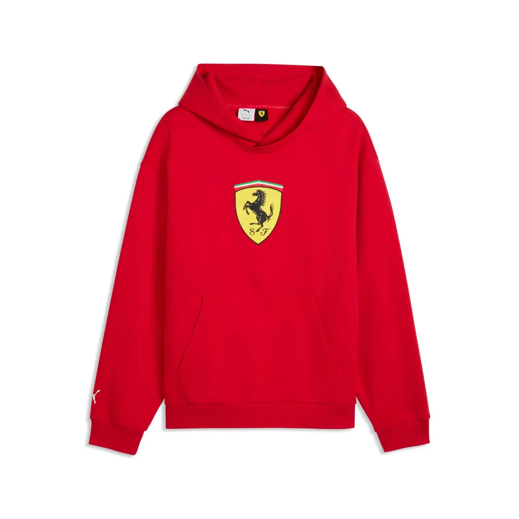 PUMA picture
