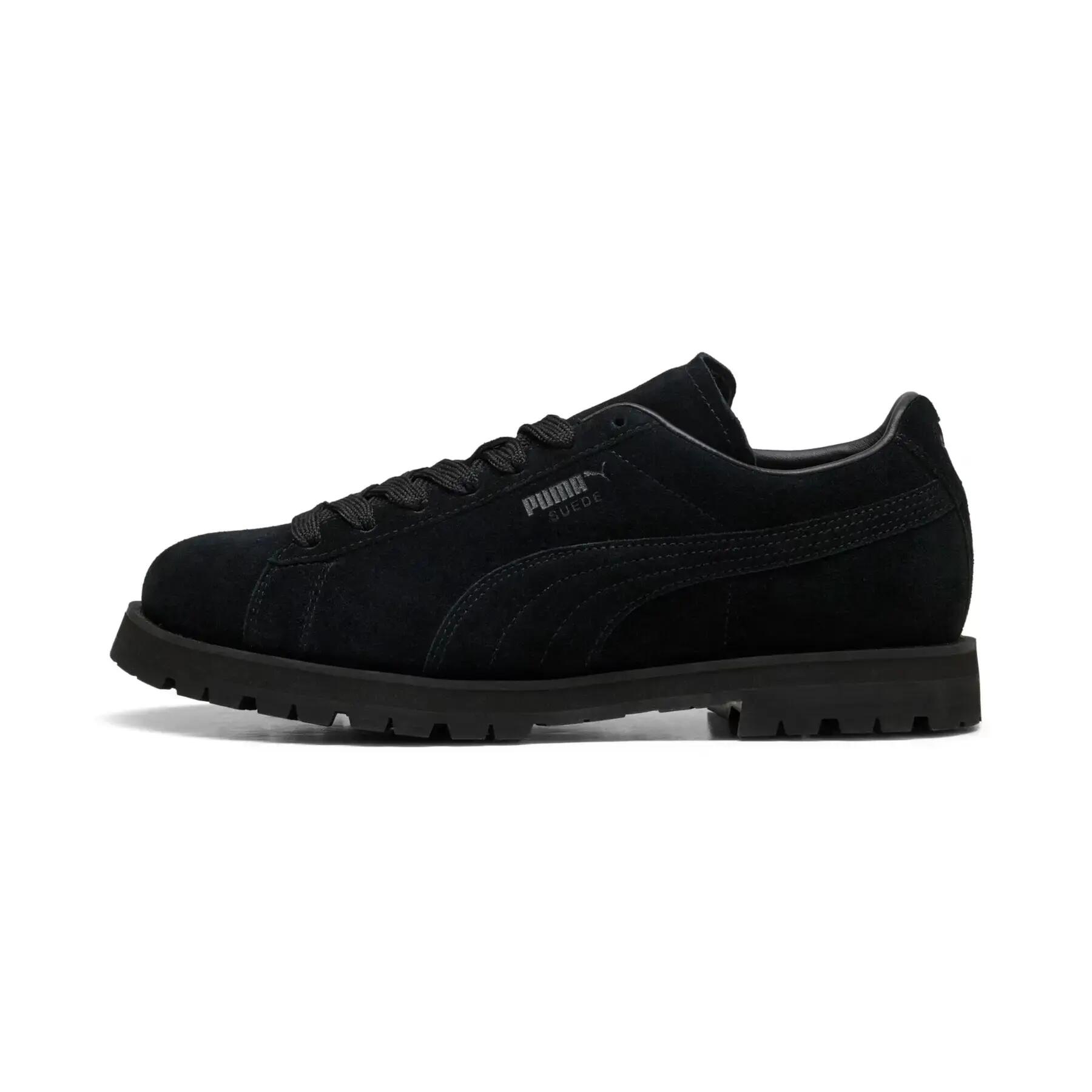 PUMA picture