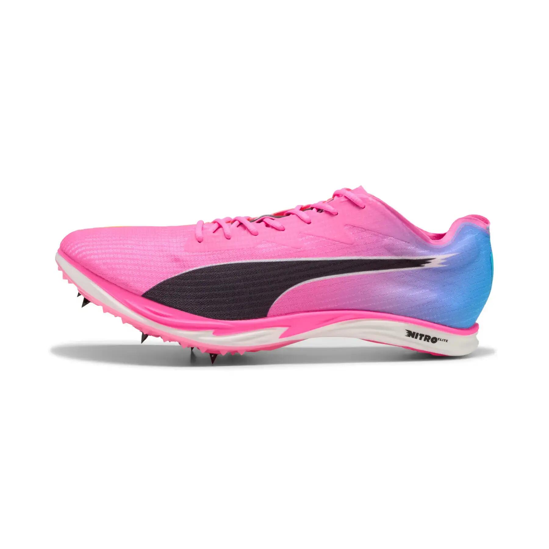 PUMA picture