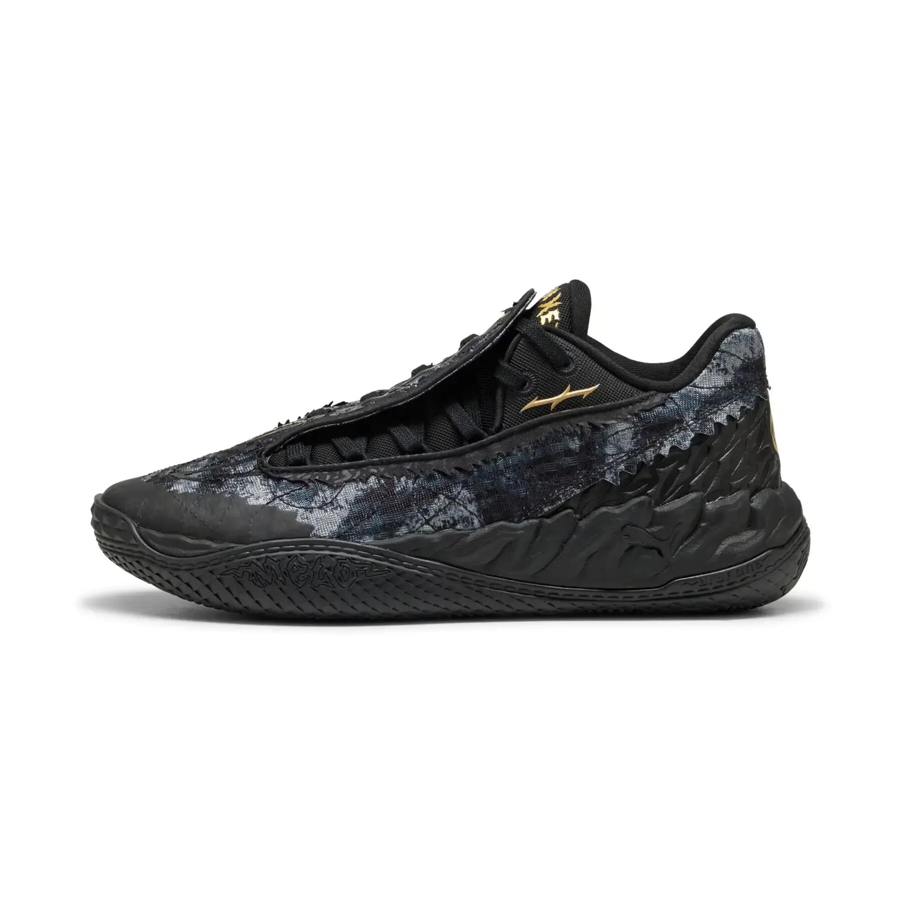 PUMA picture