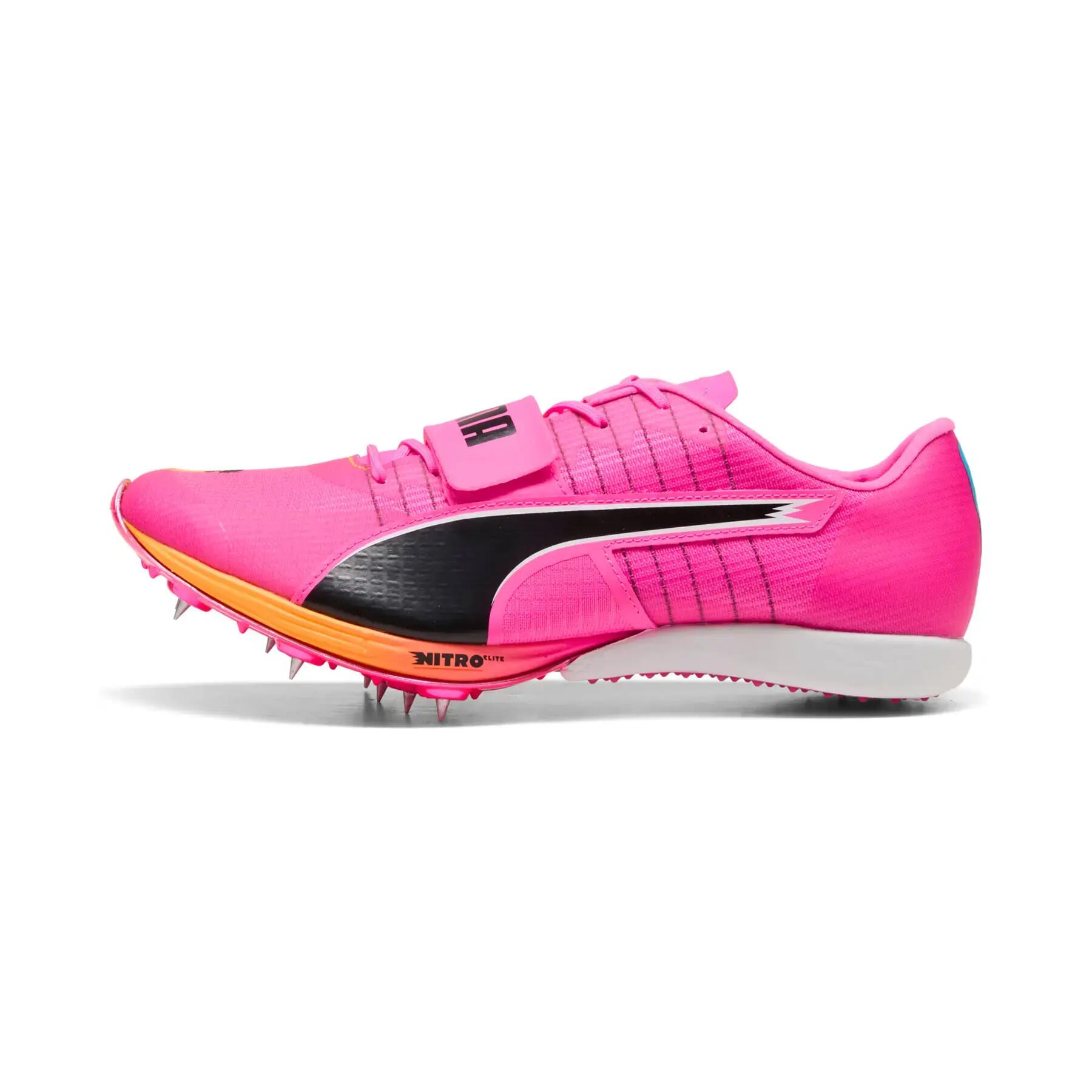 PUMA picture