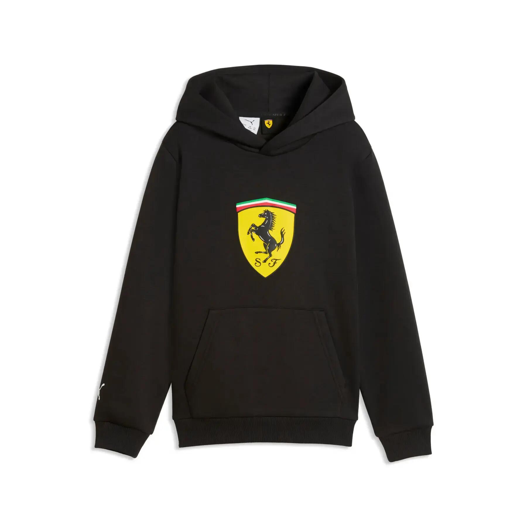 PUMA picture