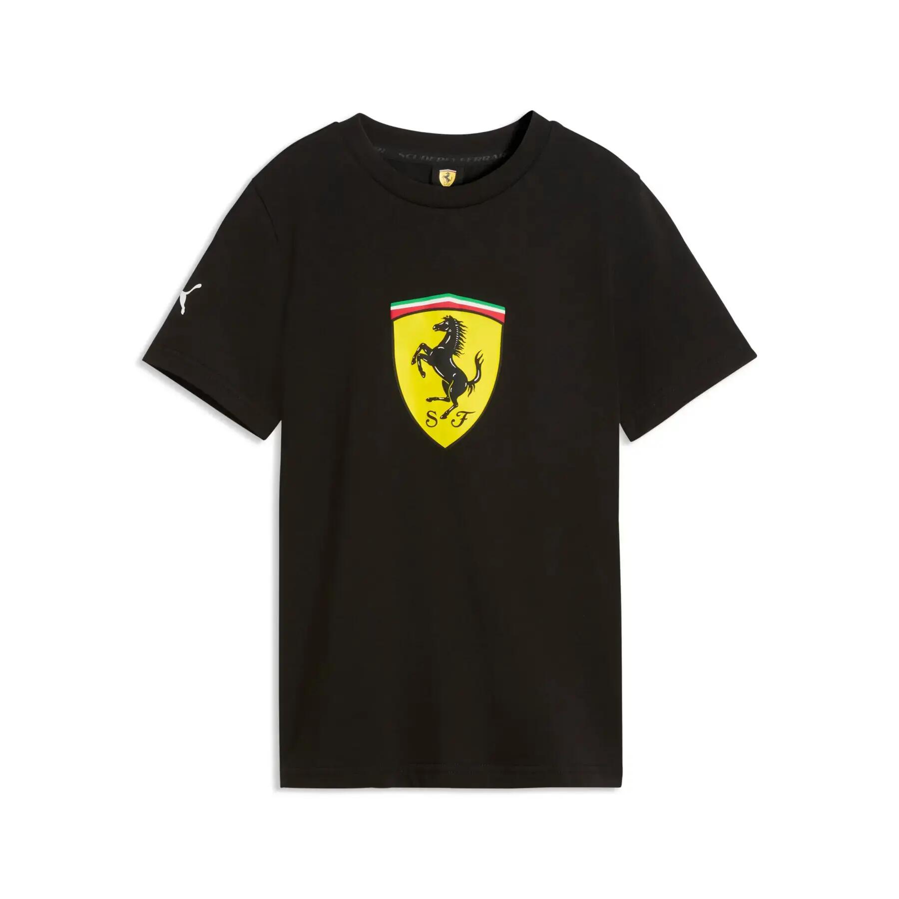 PUMA picture