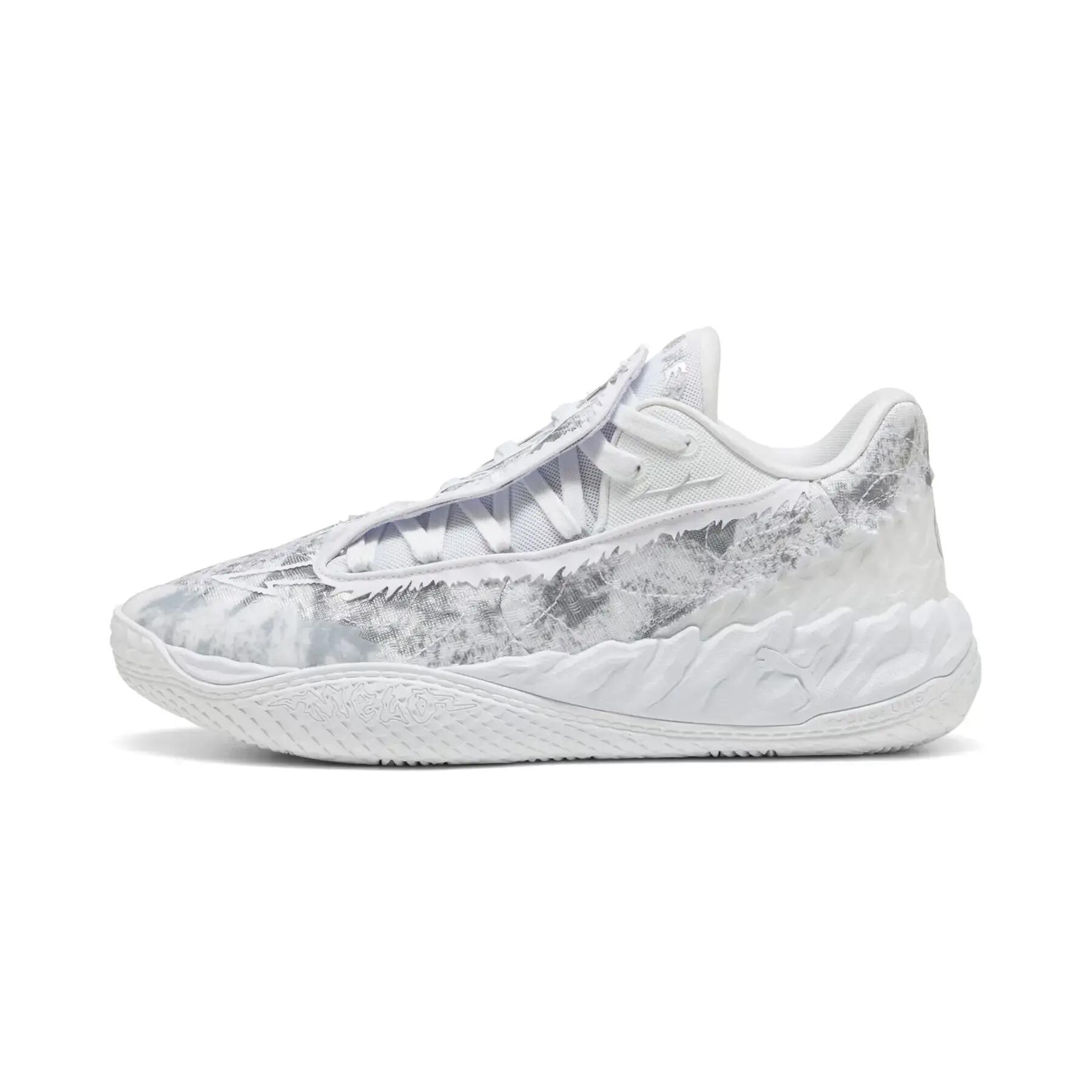 PUMA picture