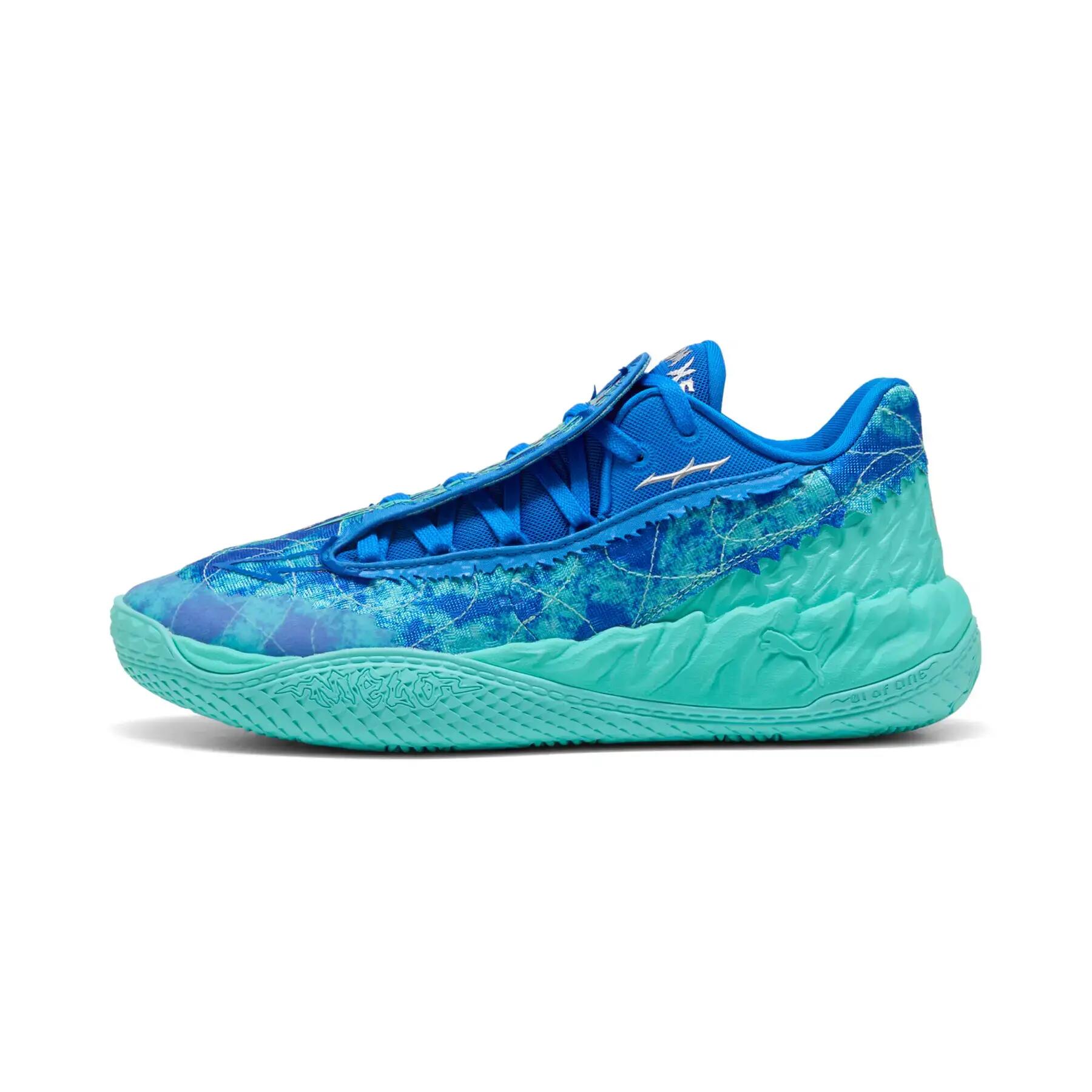 PUMA picture