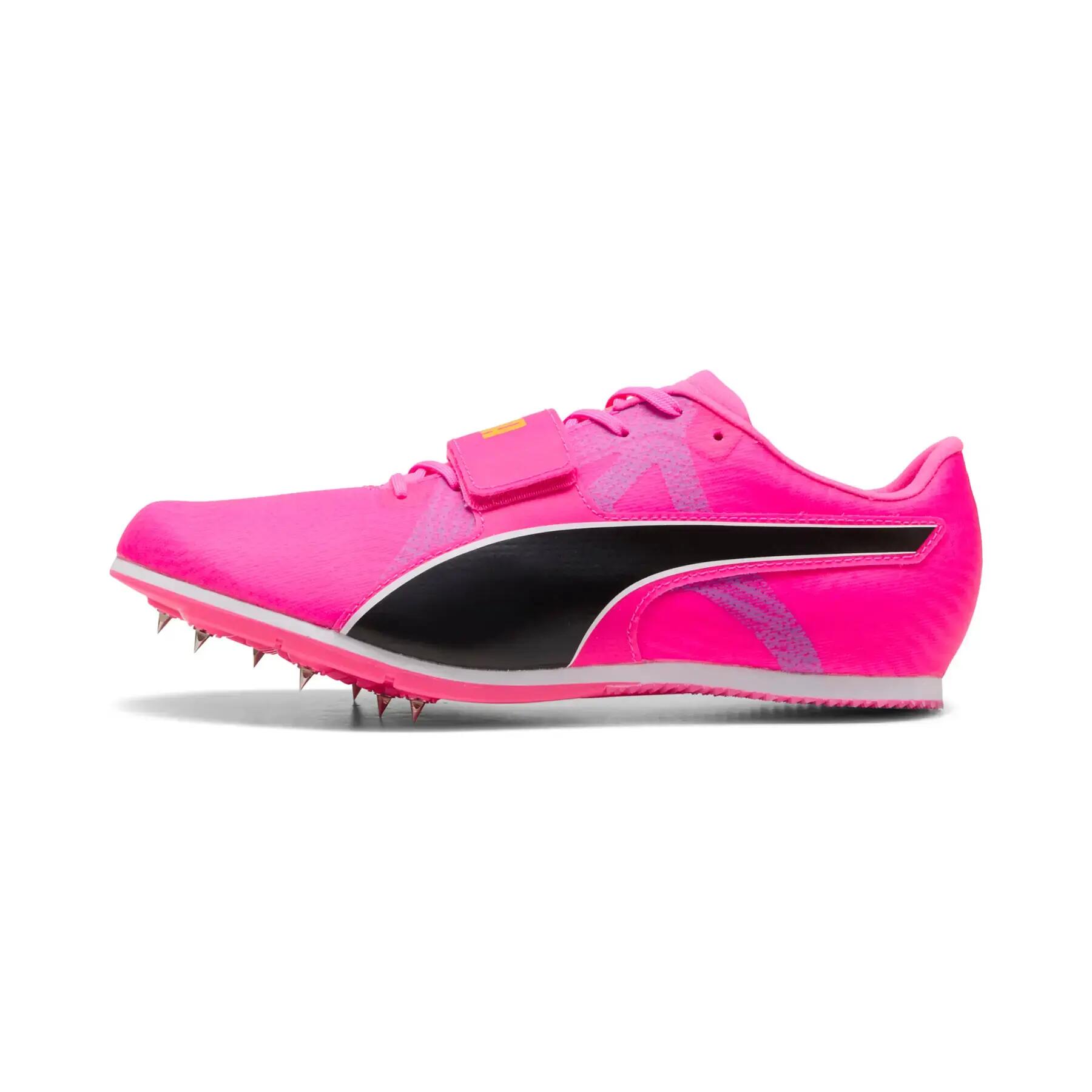 PUMA picture
