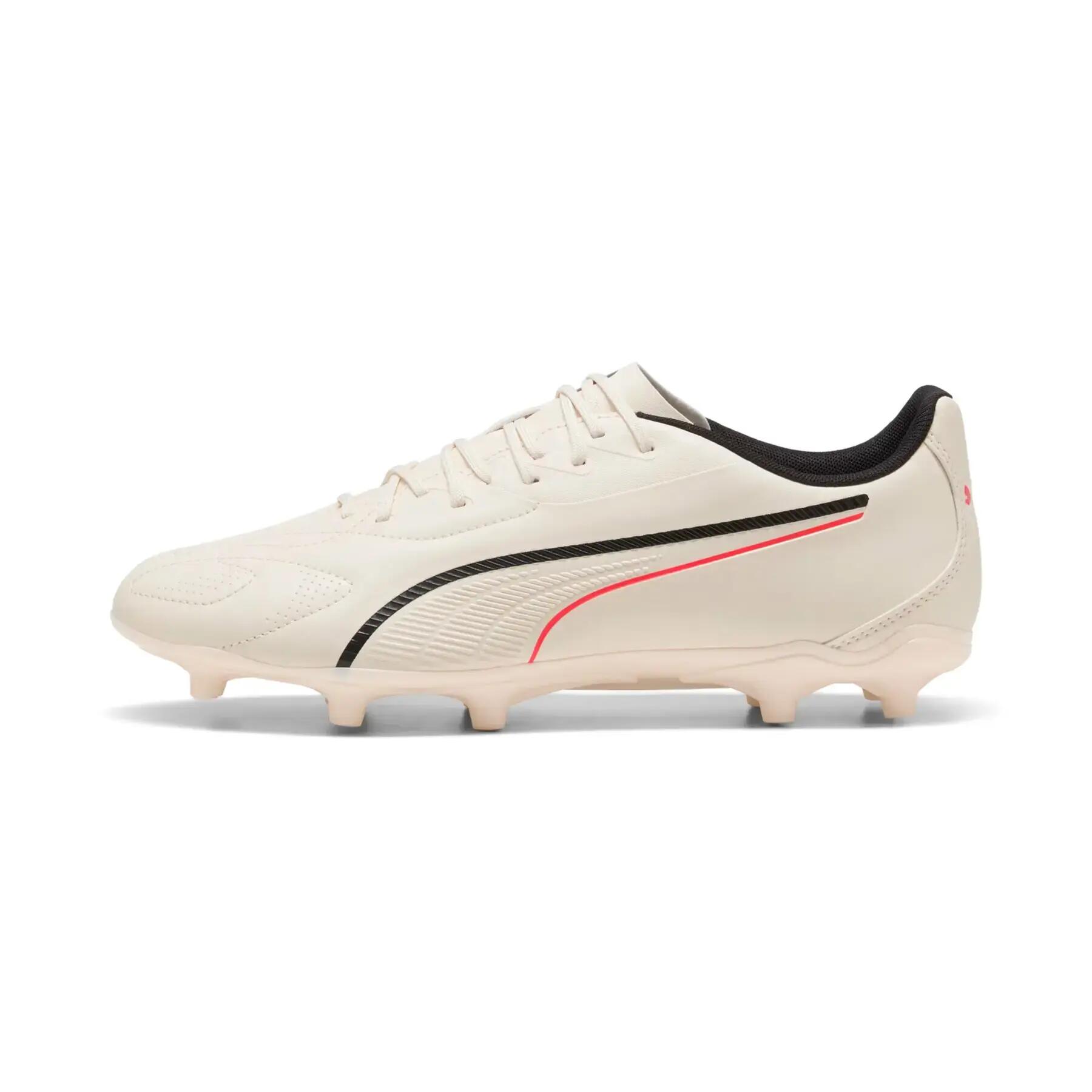 PUMA picture