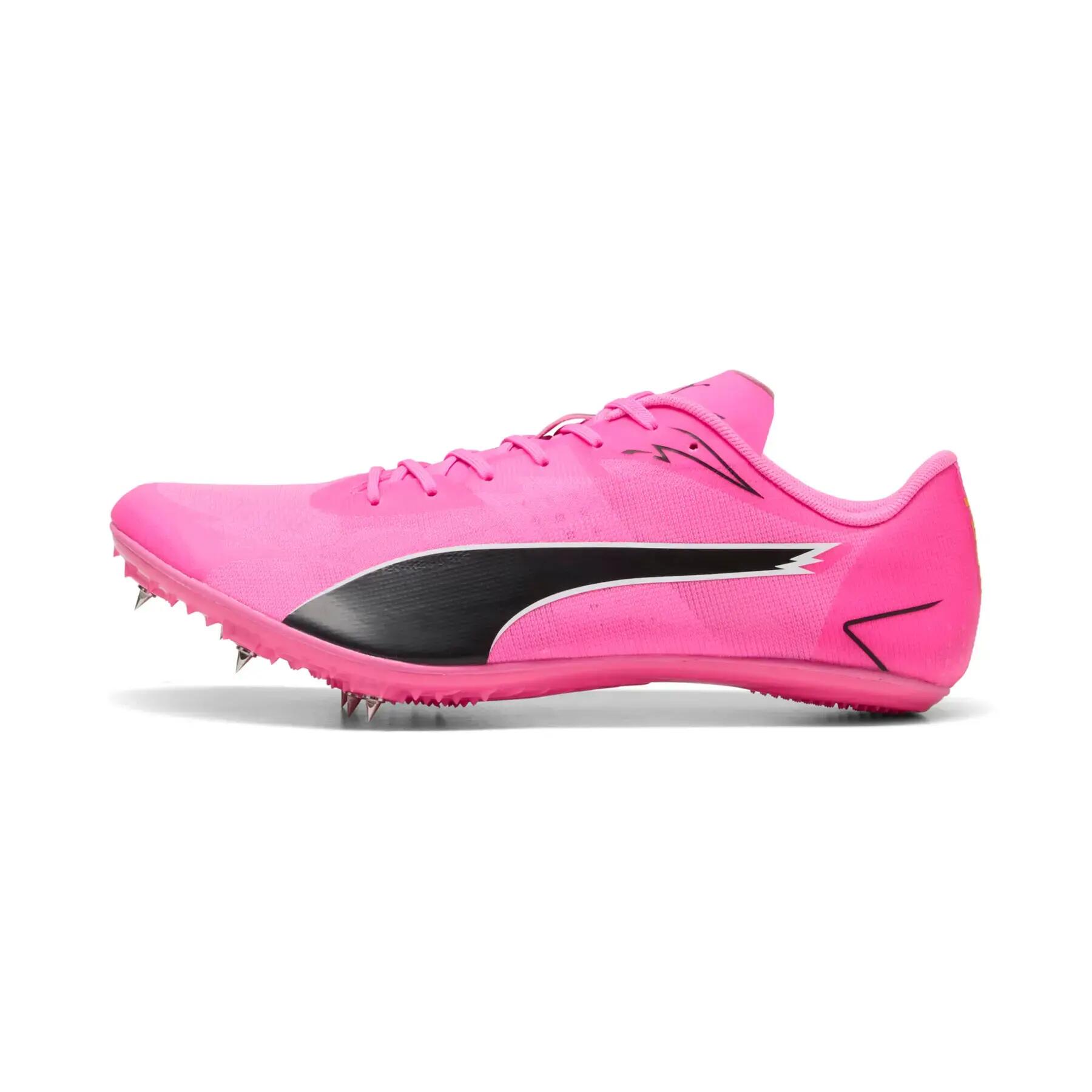 PUMA picture