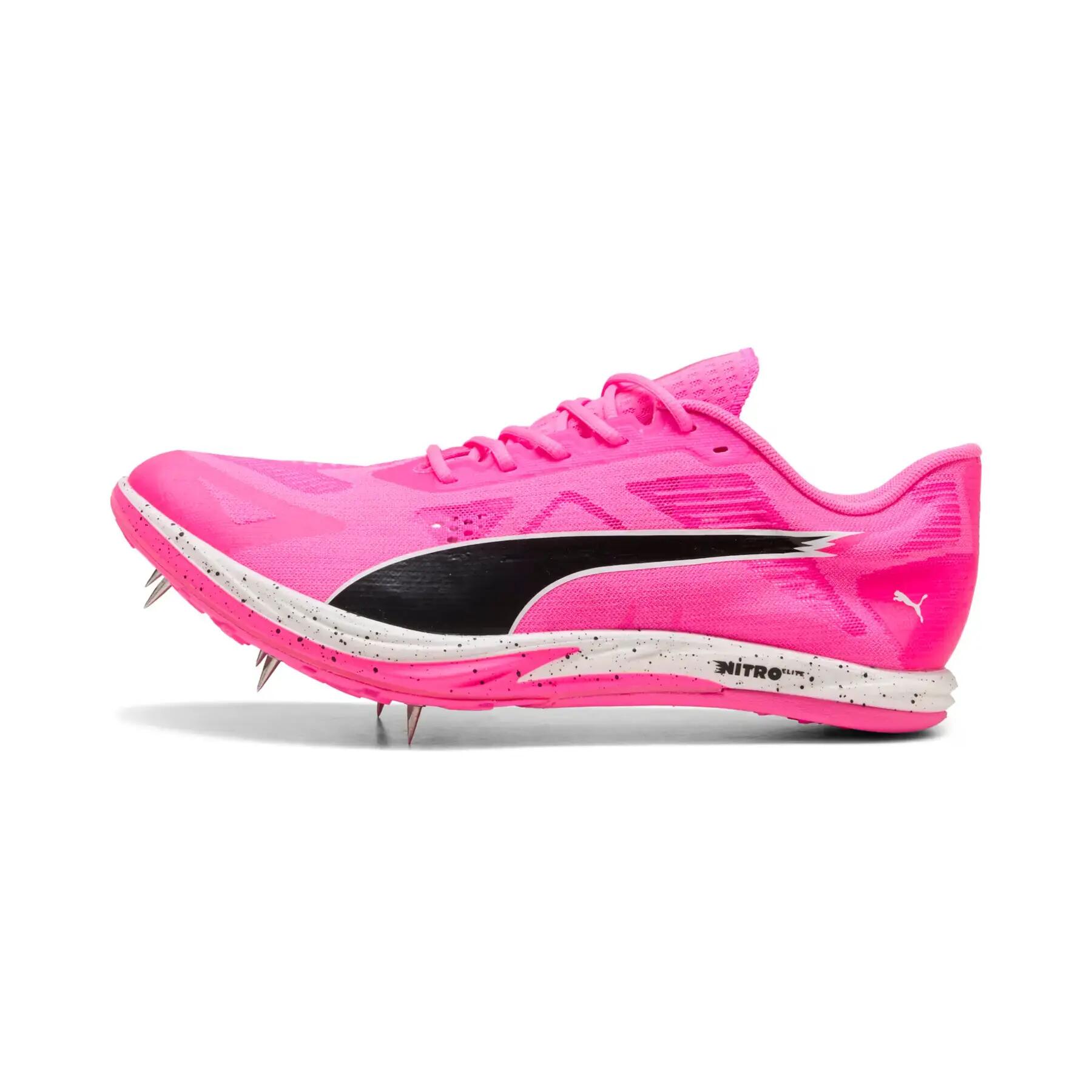PUMA picture