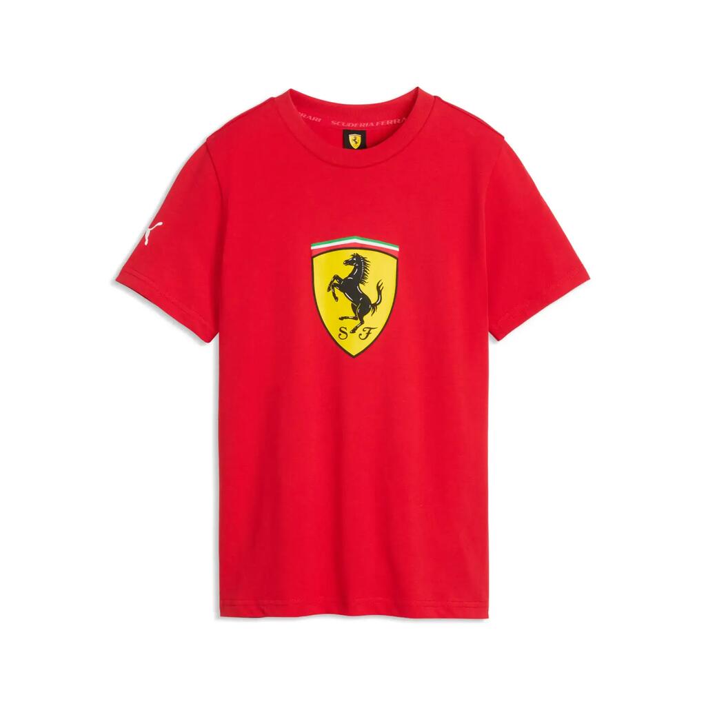Мъжка футболна фланелка Puma TEAMCUP JERSEY