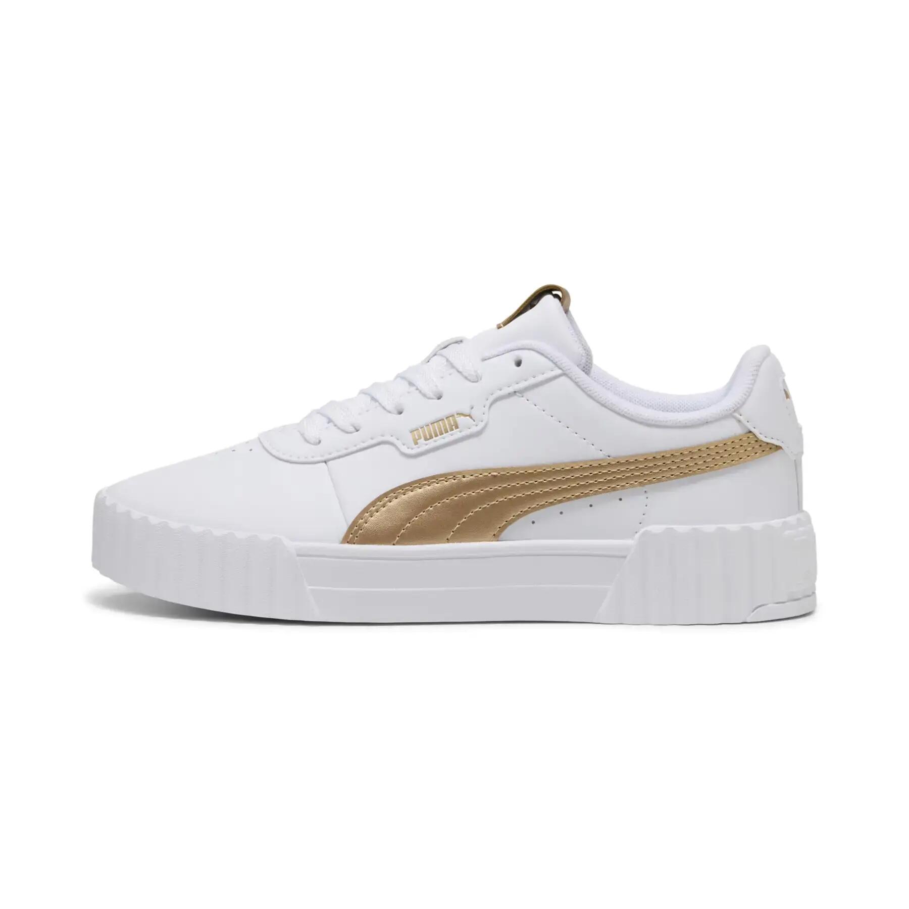 PUMA picture