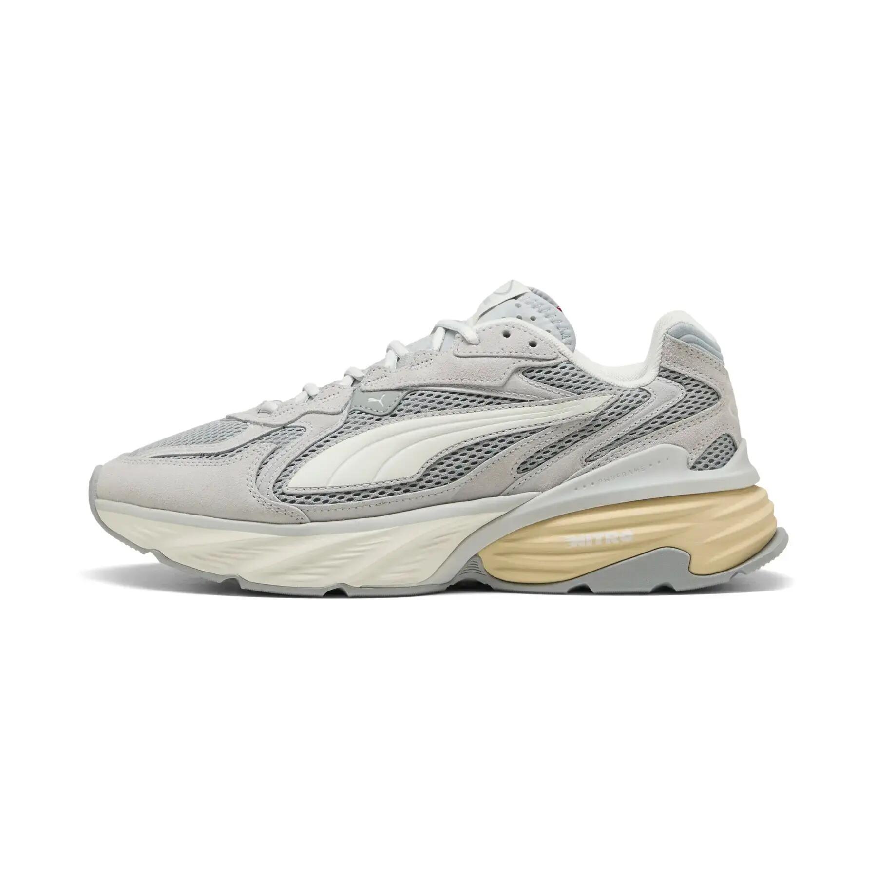 PUMA picture