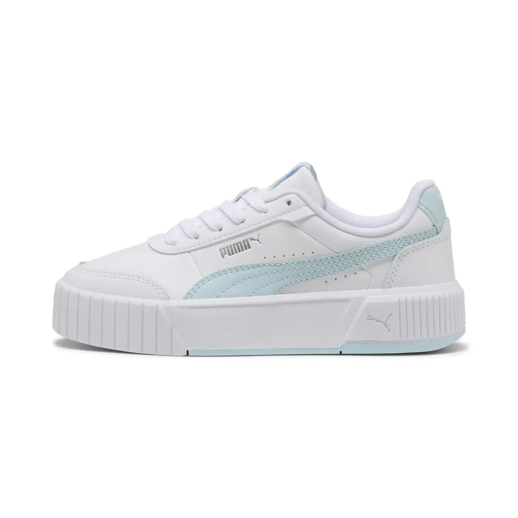 PUMA picture