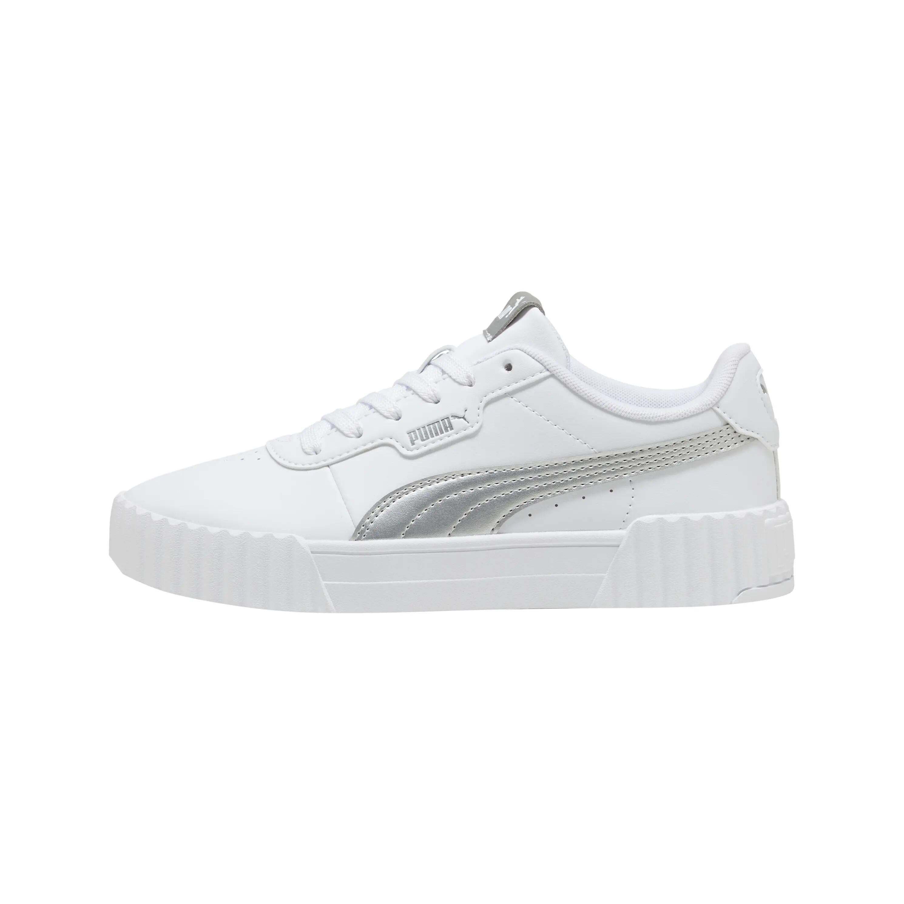 PUMA picture