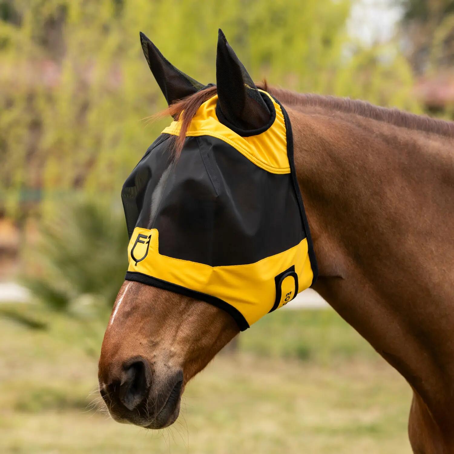EQUESTRO picture