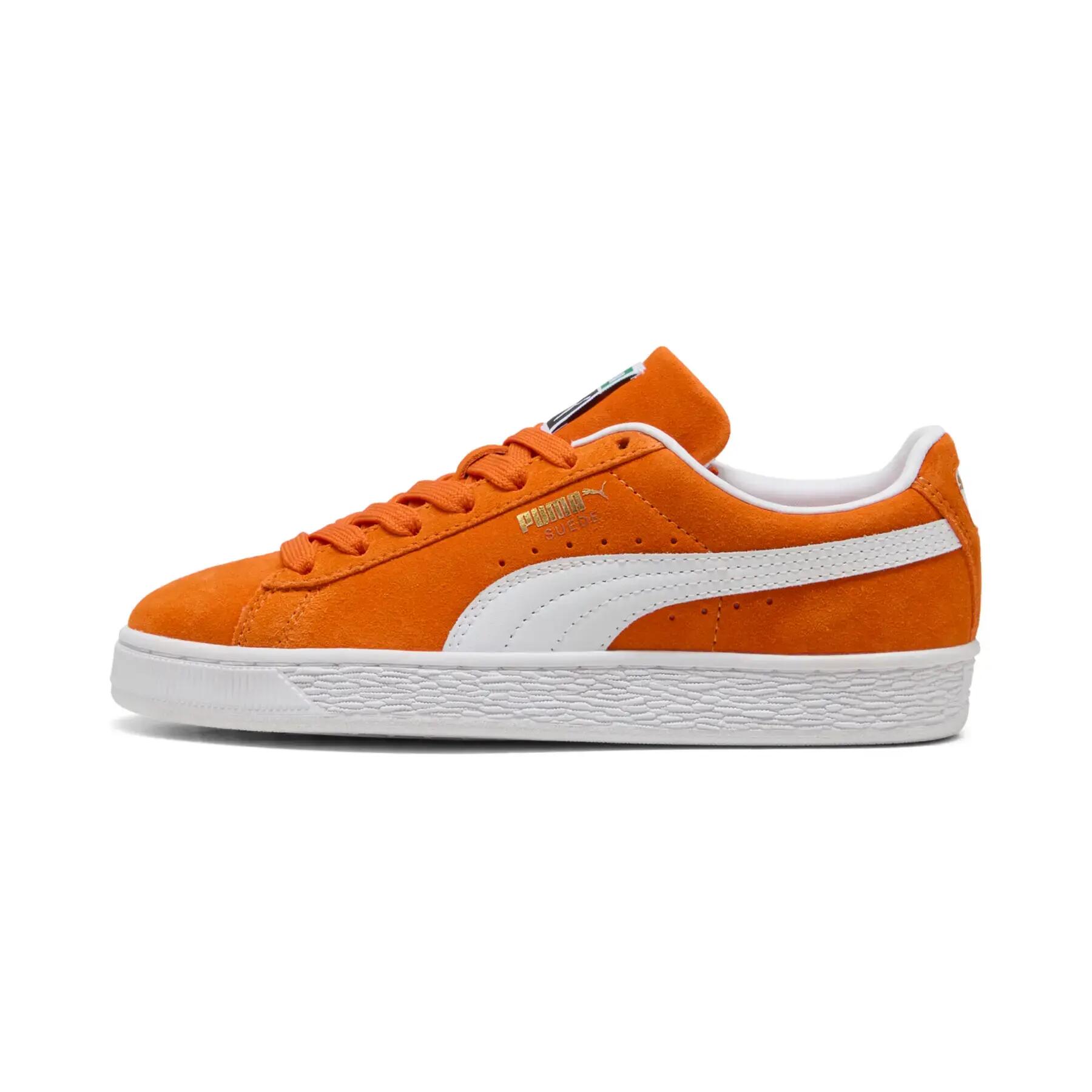 PUMA picture