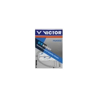 VICTOR picture