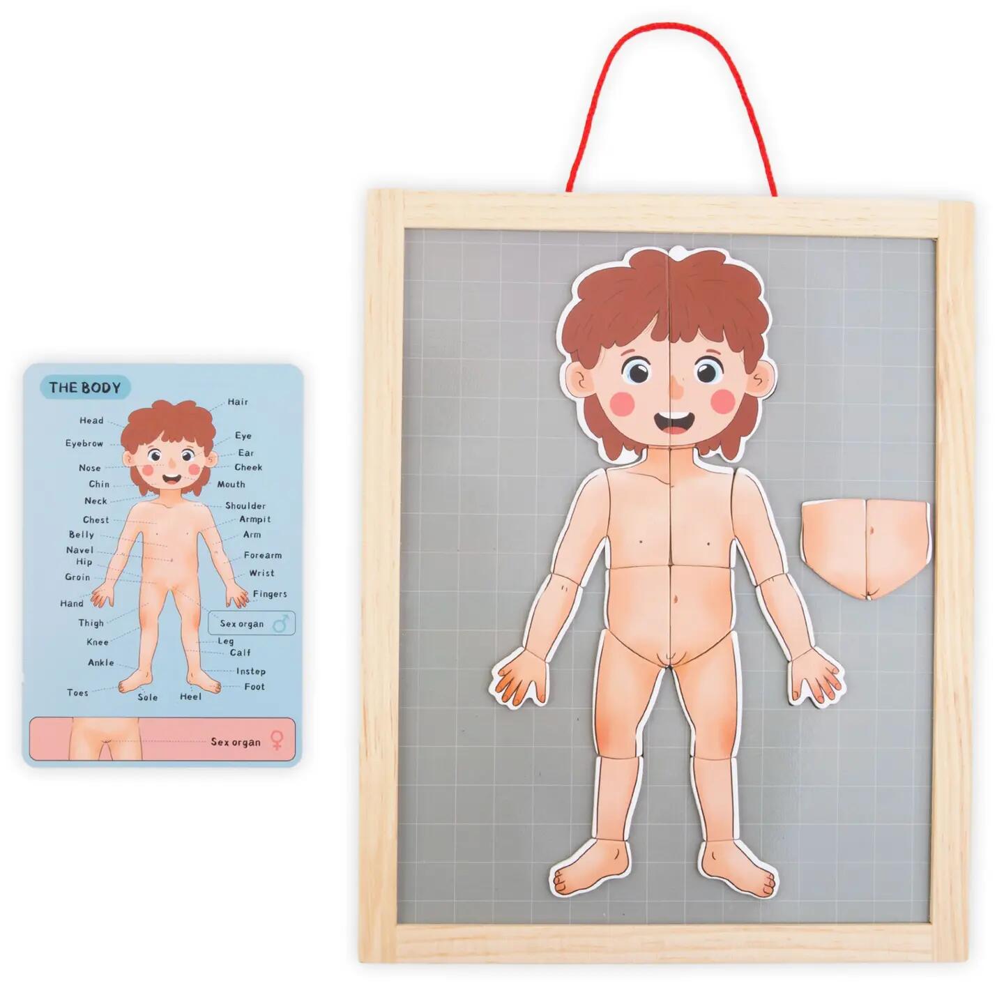 Puzzle magnetyczne dla dzieci do nauki anatomii człowieka, 74 elementy 9/13