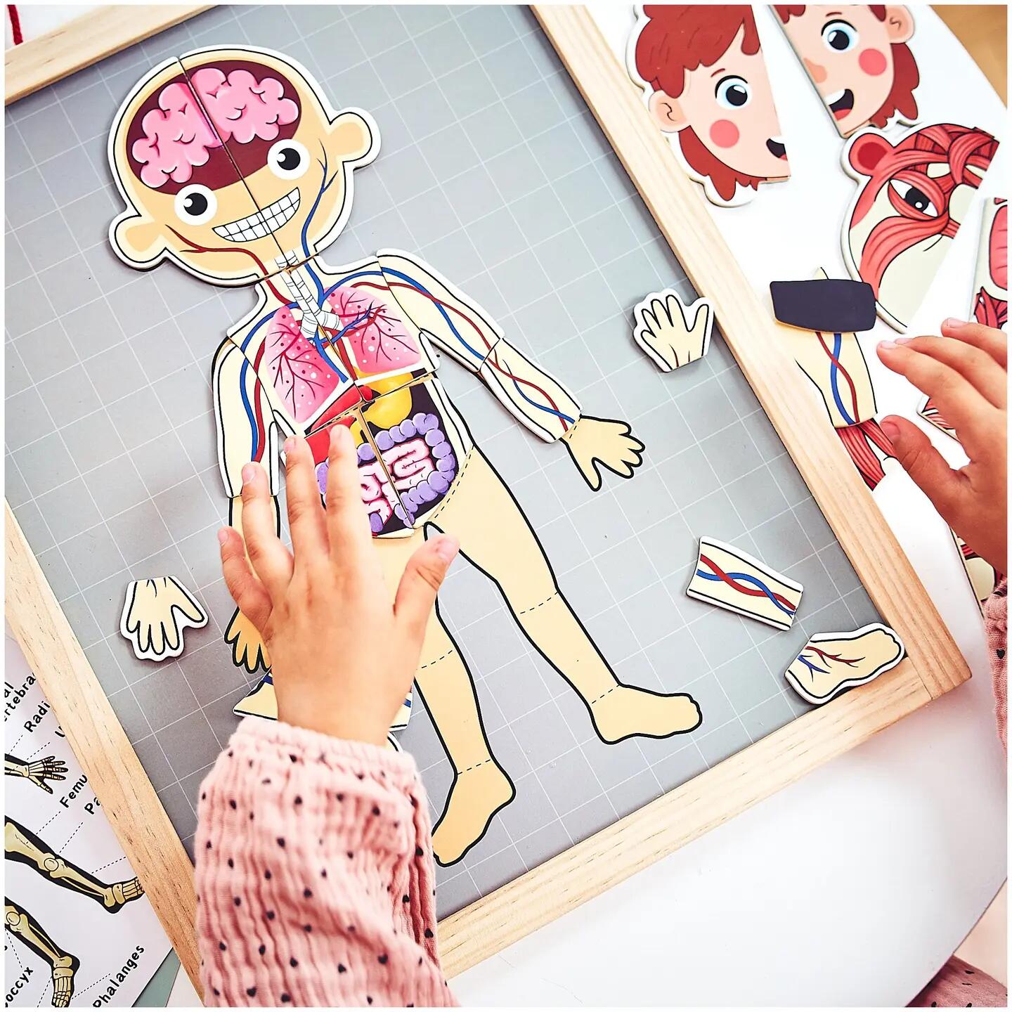 Puzzle magnetyczne dla dzieci do nauki anatomii człowieka, 74 elementy 4/13