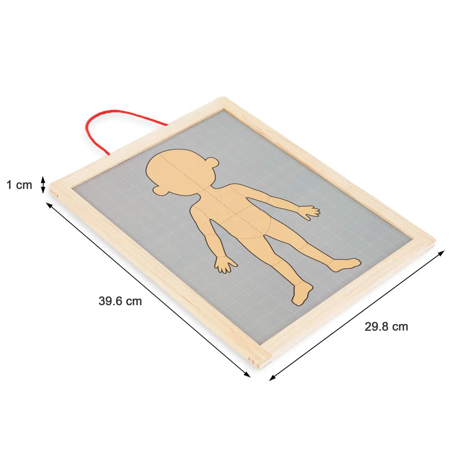 Puzzle magnetyczne dla dzieci do nauki anatomii człowieka, 74 elementy 13/13