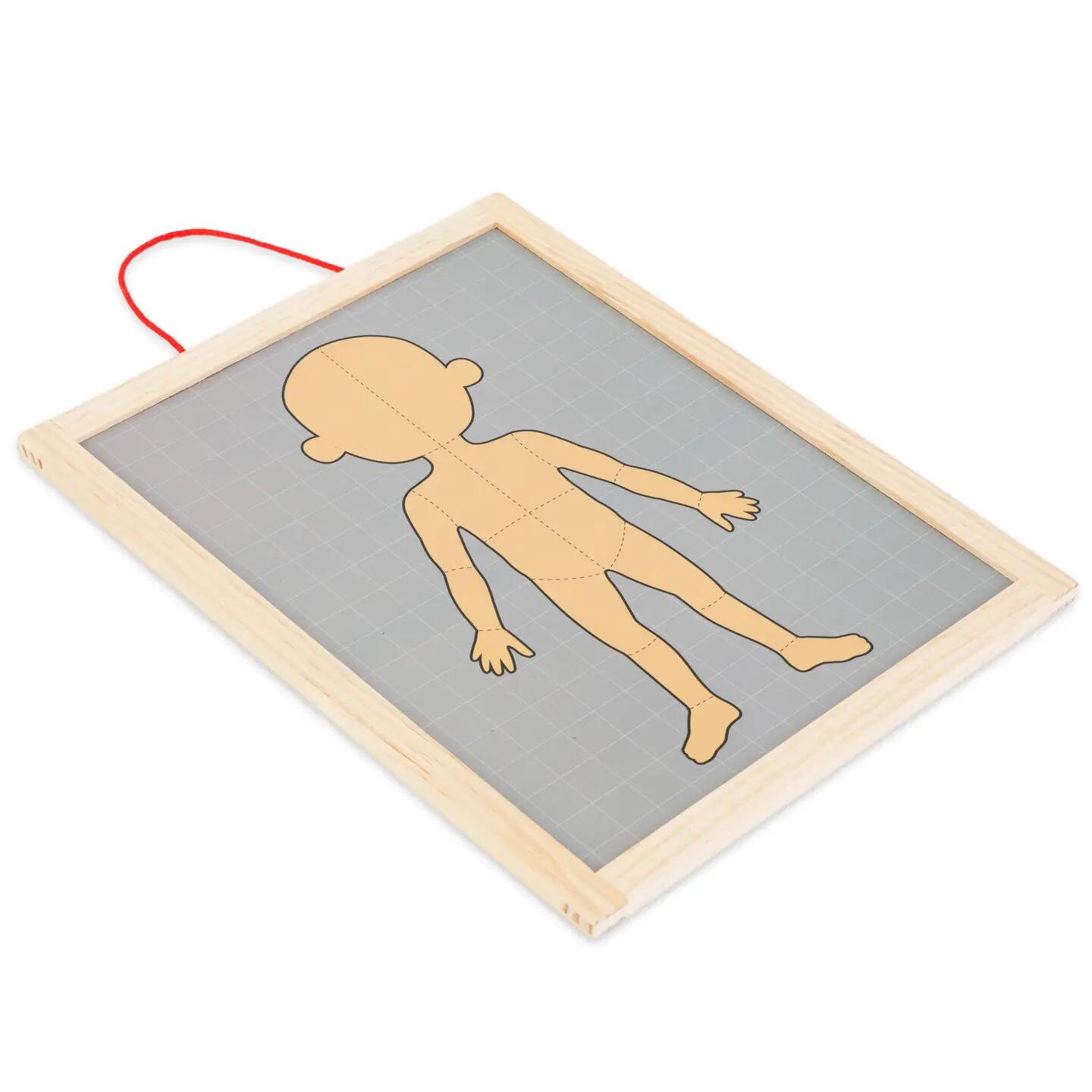 Puzzle magnetyczne dla dzieci do nauki anatomii człowieka, 74 elementy 10/13