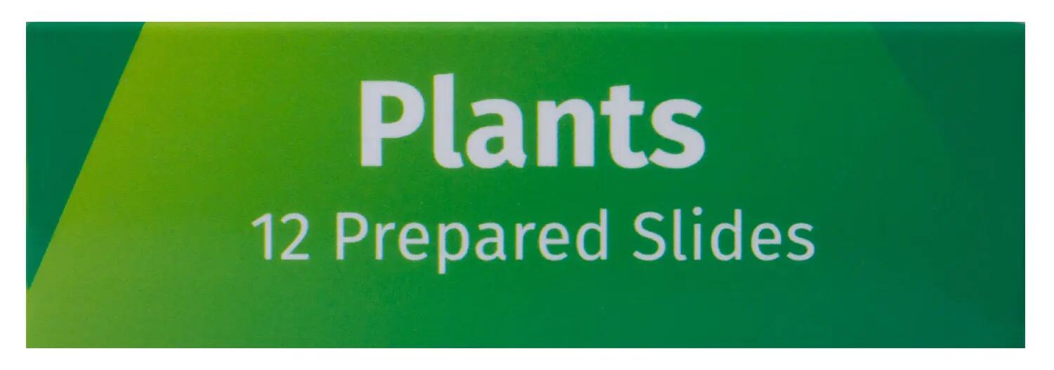 Levenhuk LabZZ P12 Plants Prepared Slides Set 9/11