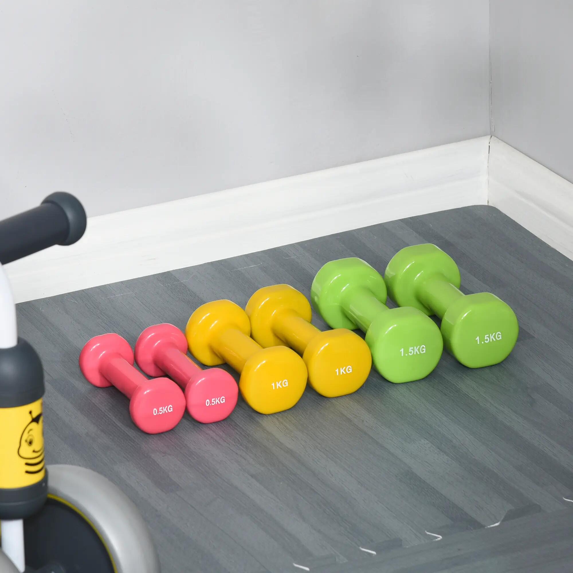 Ensemble de 6 haltères avec étui, poids 0,5 kg, 1 kg et 1,5 kg, en acier et poly 4/9