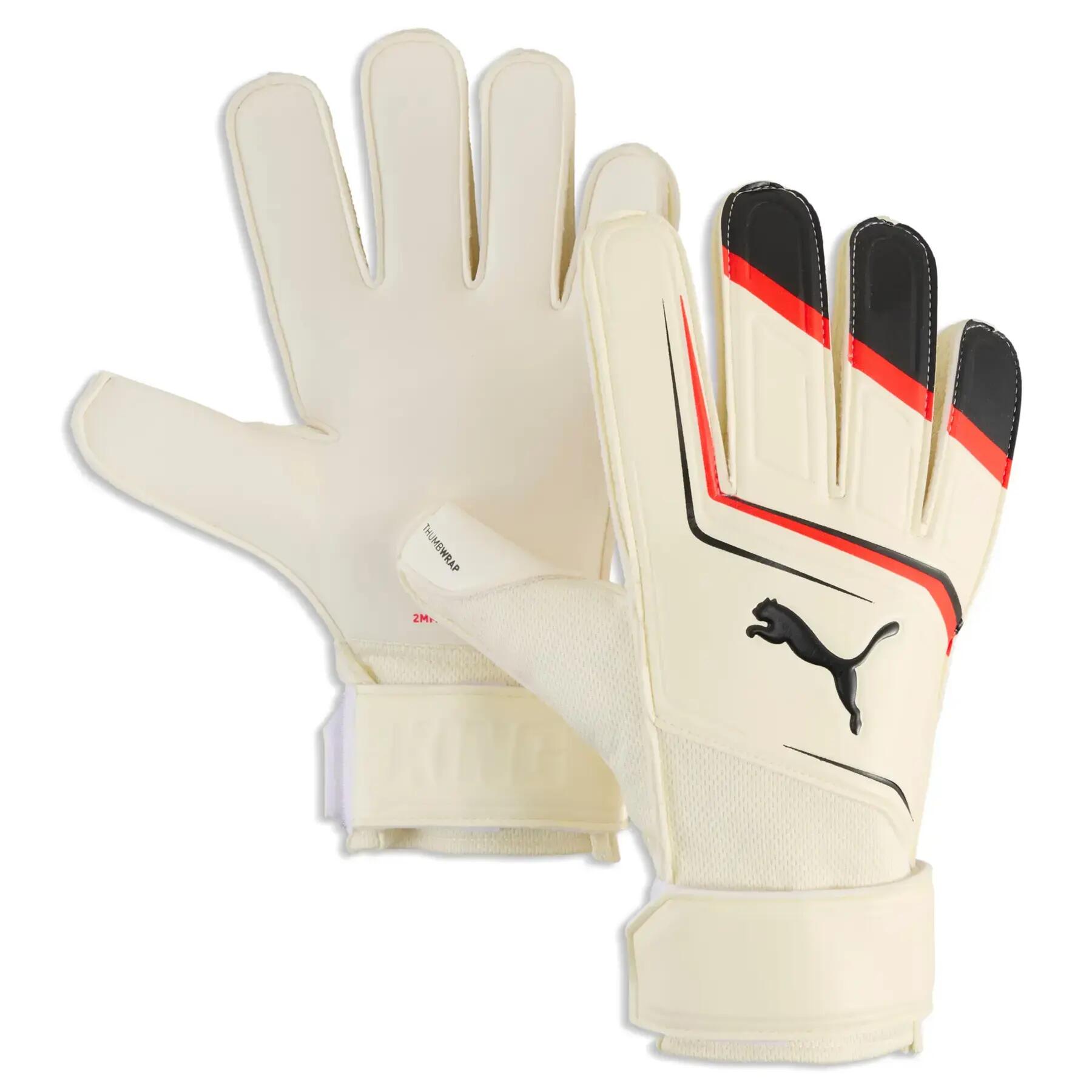 PUMA picture
