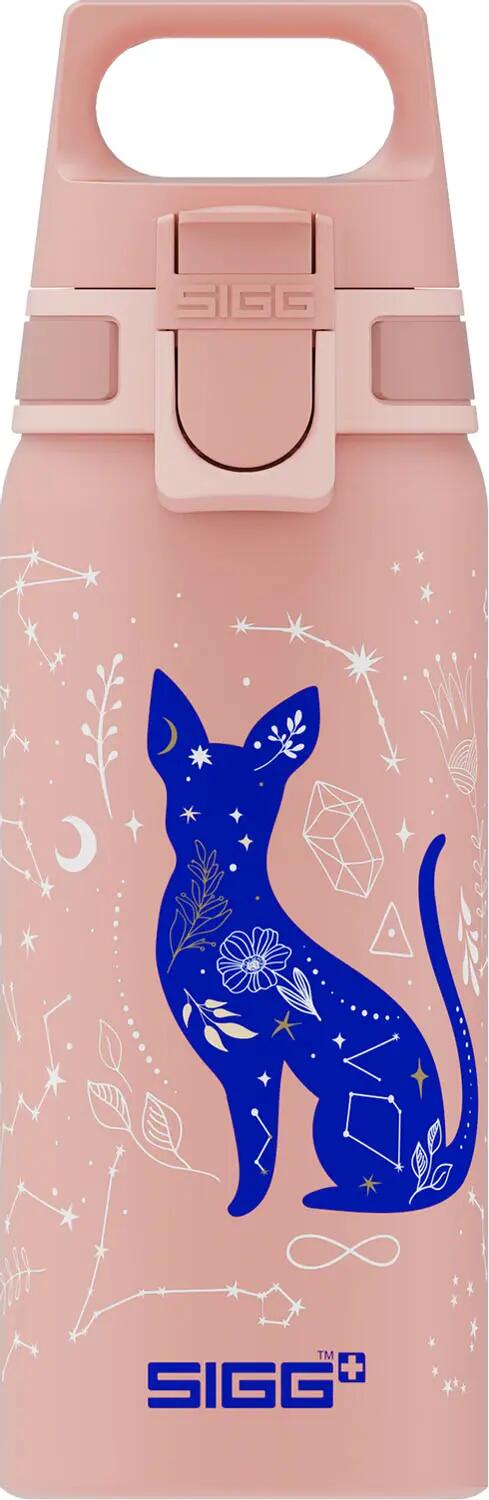 SIGG picture