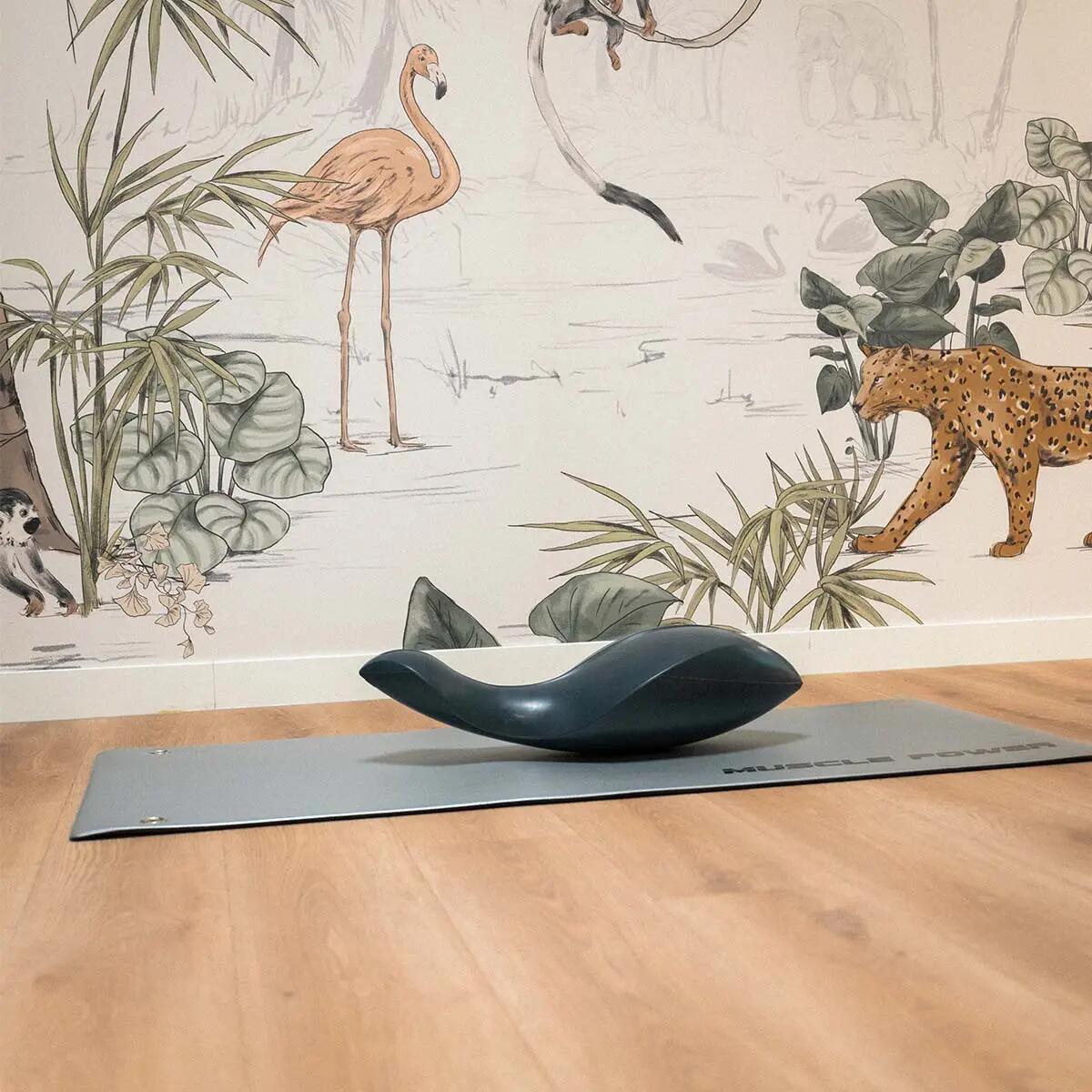 Muscle Power MPOK6687 Pilates dolphin 6/7