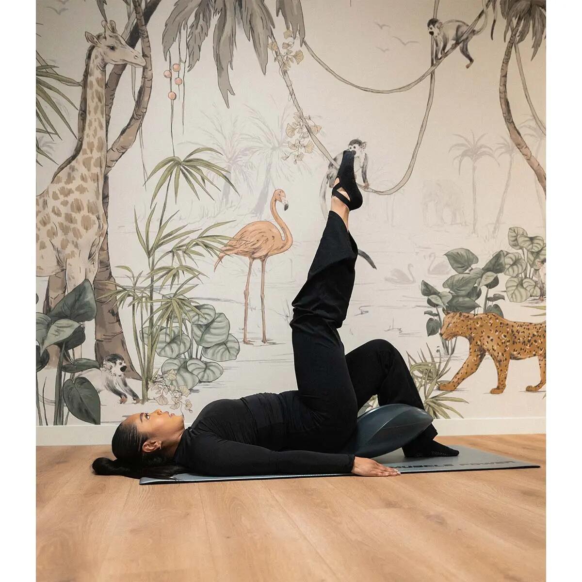 Muscle Power MPOK6687 Pilates dolphin 5/7