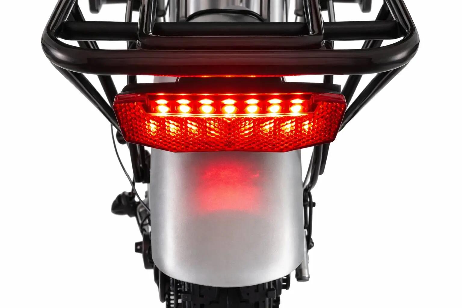 Fat Bike Pieghevole 20" Telaio Acciaio 250w 36v 10.4ah Silver 3/5