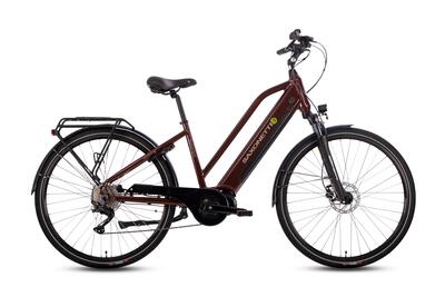 Premium sport trapez e-bike 250w middenmotor 90nm, 522wh, shimano deore