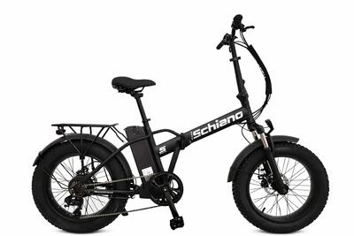 Opvouwbare fatbike 20" met stalen frame, 250 w, 36 v, 10,4 ah, zilverkleurig