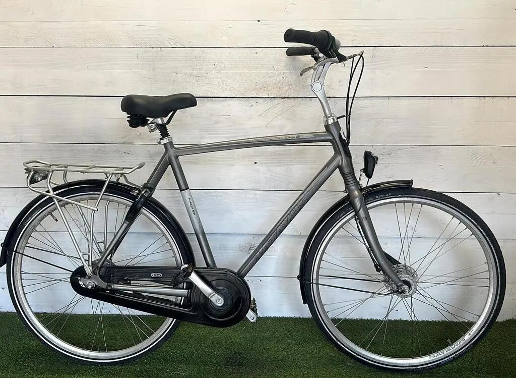 BATAVUS picture